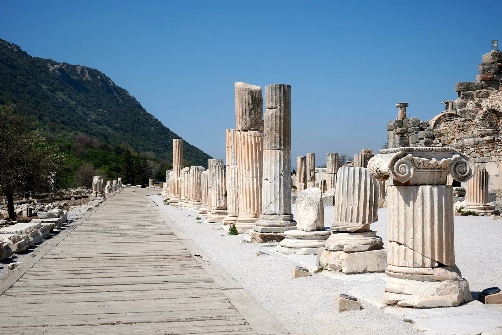 Ephesus Nike Wing