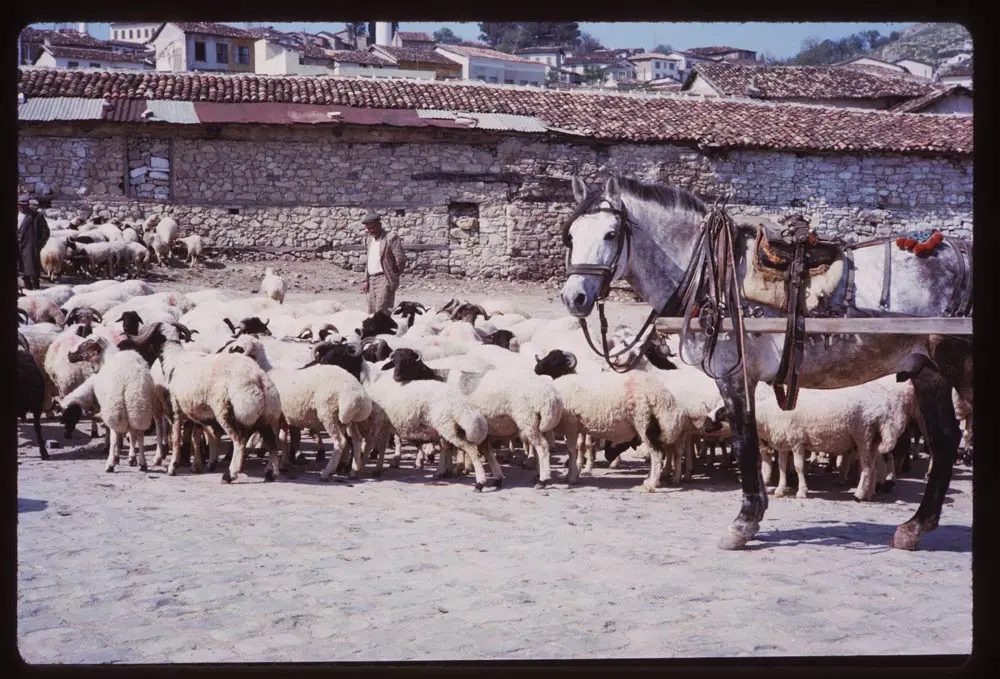 Kusadasi 1965